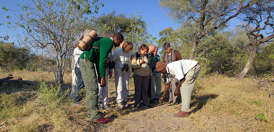 Walking Safari