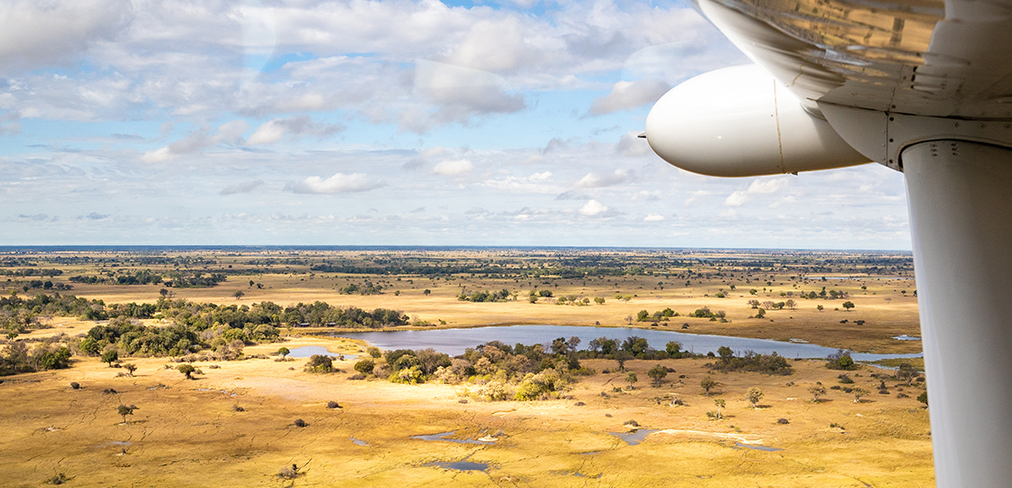 Scenic Flights